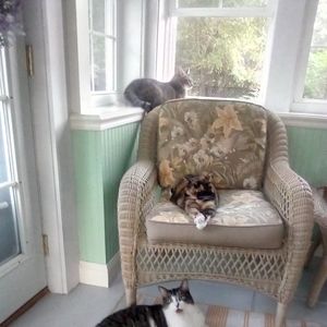 Meet your Posher, Wendy